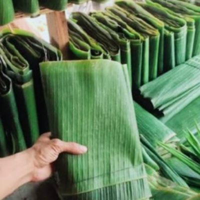banana leaf 2